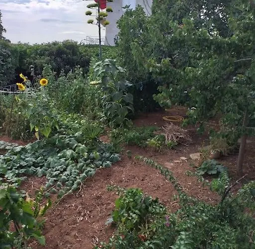 Jadranka Apartamento *